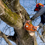 Photo of Wayne's Tree Service