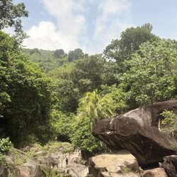Charco El Hippie Naguabo
