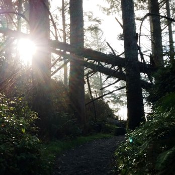 Ruby Beach - Sun sneaking in on trail. - Beaches Near Me Ruby Beach - Sun sneaking in on trail. - Beaches Near Me