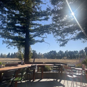 Enjoy Coffee - Coffee & Tea Near Me - Vacaville, California Enjoy Coffee - Coffee & Tea Near Me - Vacaville, California