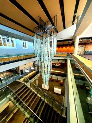 The University of British Columbia by null