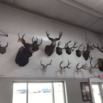 Sterling Marine - Boat Repair Near Me - Longmont, Colorado Sterling Marine - Boat Repair Near Me - Longmont, Colorado