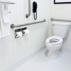 Grabwise Home Safety Solutions - Toilet area grab bars