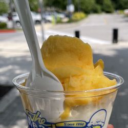 The Meadows Original Frozen Custard - Mango Italian Ice with Vanilla Custard