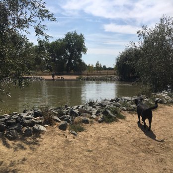 Spring Canyon Dog Park - Dogs can jump in from the rocks or the concrete wall. Good slope from concrete wall into the water. - Parks Near Me - Fort Collins, Colorado Spring Canyon Dog Park - Dogs can jump in from the rocks or the concrete wall. Good slope from concrete wall into the water. - Parks Near Me - Fort Collins, Colorado