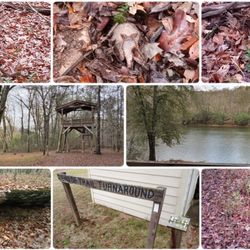 Chattahoochee Bend State Park - Sights of Riverside Trail