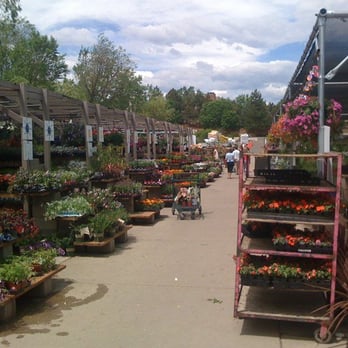 Highlands Garden Center - Highlands Garden Center & Nursery - Nurseries & Gardening Near Me - Centennial, Colorado
