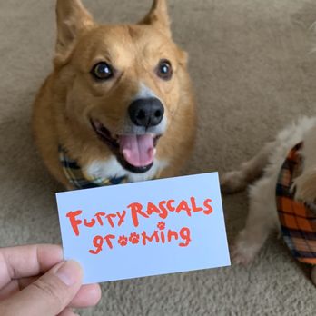 Furry Rascals Grooming - Pet Groomers Near Me - Long Beach, California Furry Rascals Grooming - Pet Groomers Near Me - Long Beach, California