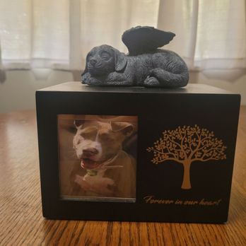 Everlasting Paws - Our beautiful Peanut - Pet Cremation Services Near Me