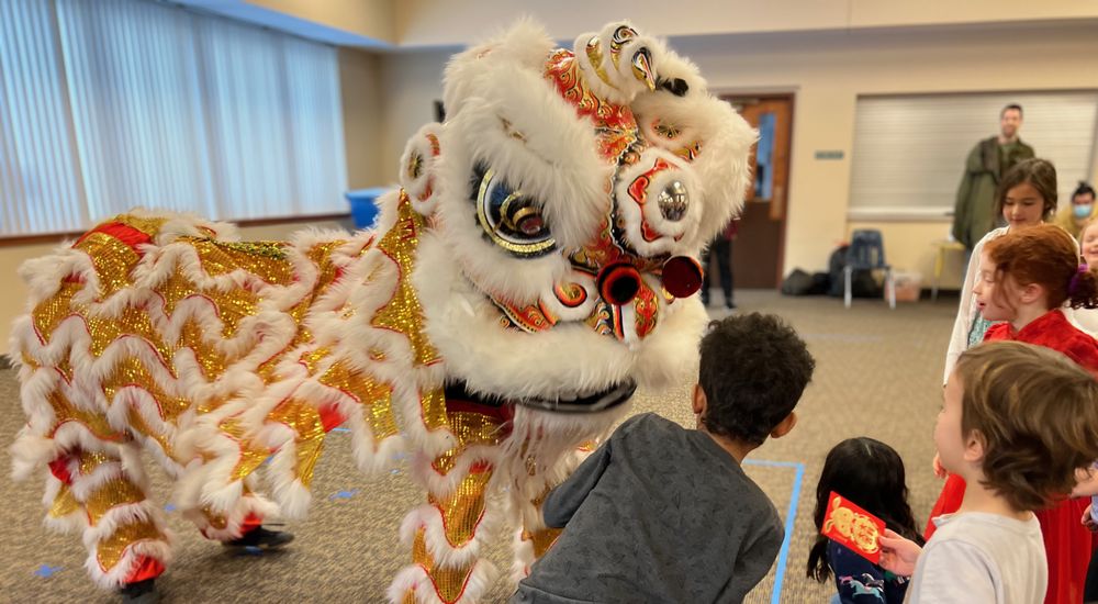 Sleepy Tigers Chinese Immersion Learning Center - childcare center in Minnetonka, MN