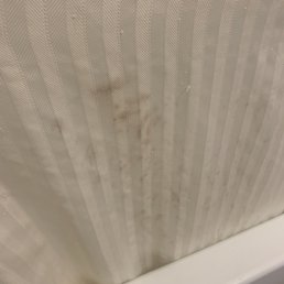 Dirty shower curtain Dirty shower curtain