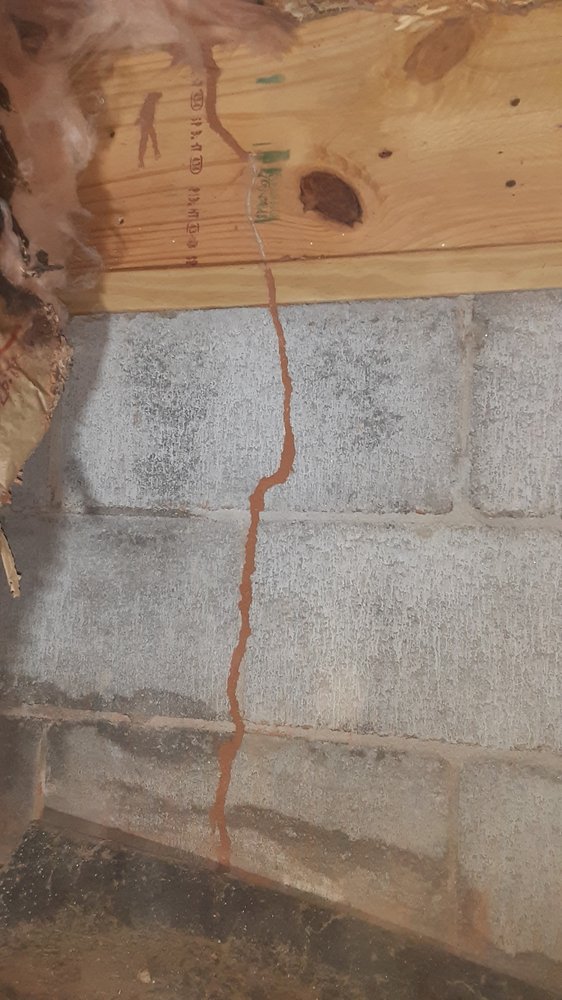 PESTTEC Updated October 2024 21 Photos 4114 Highway 24, Anderson