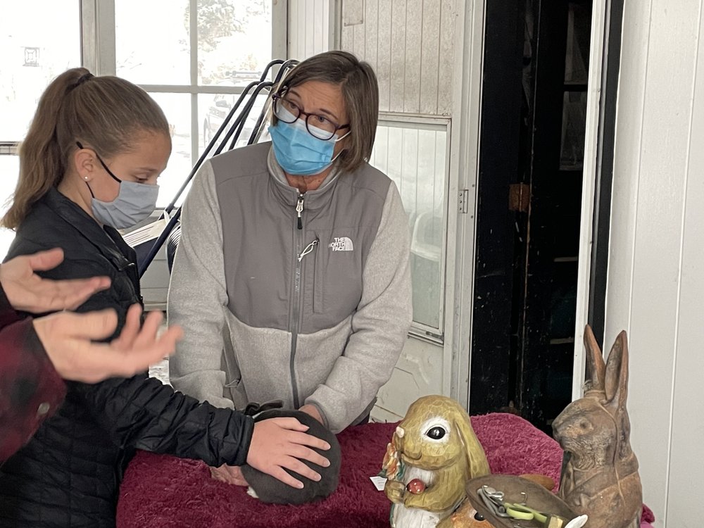 ANIMAL HOUSE CALLS OF NORTH SHORE Updated September 2024 49 Photos