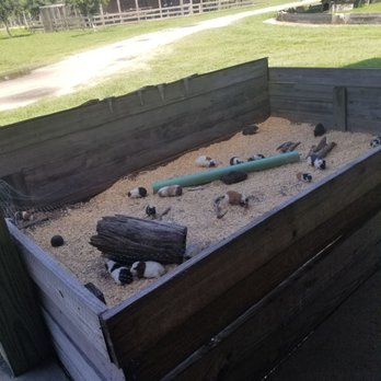 Safari Wilderness Ranch - Tours Near Me - Lakeland, Florida Safari Wilderness Ranch - Tours Near Me - Lakeland, Florida