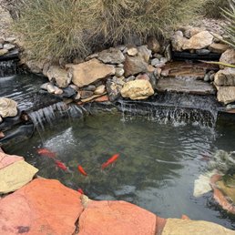 The AFTER photo of my pond. Happy fish! The AFTER photo of my pond. Happy fish!
