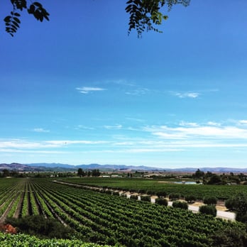 Gloria Ferrer Winery - View from the outdoor patio at Gloria - Wineries Near Me - Sonoma, California