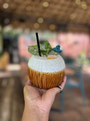 The Toasted Coconut by null