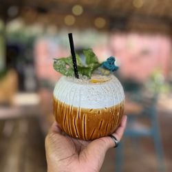 The Toasted Coconut - Pain Killer