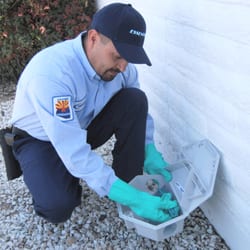 TOP 10 BEST Essential Pest Control in Tucson, AZ - Updated 2026 - Yelp
