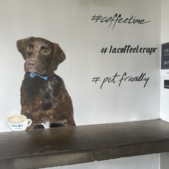 La Coffeetera - Coffee & Tea Near Me - San Juan, Puerto Rico La Coffeetera - Coffee & Tea Near Me - San Juan, Puerto Rico