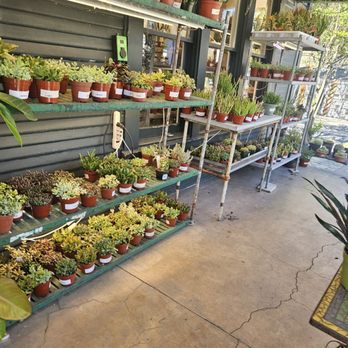 Ceremony Botanical Studio - Nurseries & Gardening Near Me - Wimberley, Texas
