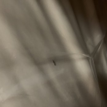 Public Storage - My mattress and box spring. silverfish crawled in the whole chewed by the mice. - An unclear photo of a storage unit interior with a small insect visible on the floor, taken at an angle with poor focus. - Self Storage Near Me - Silver Spring, Maryland
