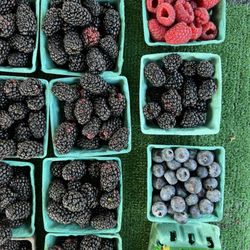 West Hollywood Helen Albert Certified Farmers Market - Organic fruit