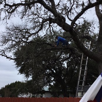 A.L. Tree Services - Tree Services Near Me - San Antonio, Texas