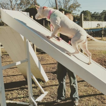 Custom K-9 - Pet Sitting Near Me - Beaufort, South Carolina
