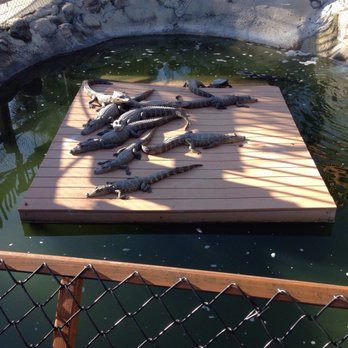 Smugglers Cove Adventure Golf - Mini Golf Near Me - Bradenton, Florida
