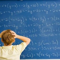 Miss Crady The Math Lady - If this is what you feel like when you are looking at math, call Ms.Crady the Math Lady now!