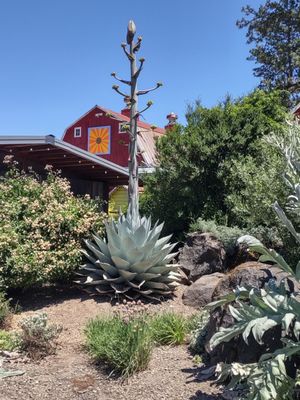 Blooming Junction Garden Center and Farm Market by null