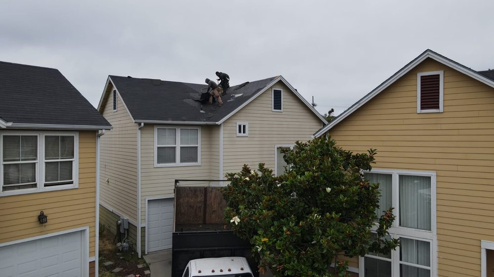 CITYWIDE ROOFING AND REMODELING Updated September 2024 305 Photos