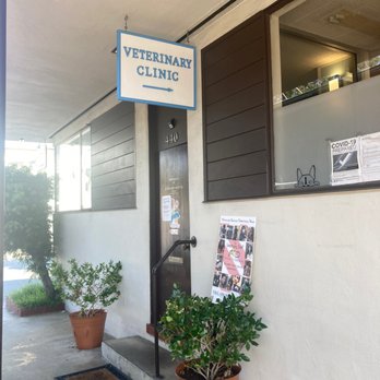 Peninsula Avenue Veterinary Clinic - Veterinarians Near Me - San Mateo, California Peninsula Avenue Veterinary Clinic - Veterinarians Near Me - San Mateo, California