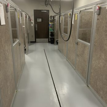 Uptown Paws - Boarding rooms with emphasis on animal sizes so smaller breeds aren't accidentally injured. - Pet Groomers Near Me - Dothan, Alabama Uptown Paws - Boarding rooms with emphasis on animal sizes so smaller breeds aren't accidentally injured. - Pet Groomers Near Me - Dothan, Alabama