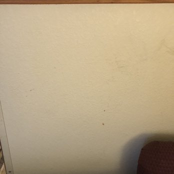 Baymont by Wyndham Marion - Dirty wall - Hotels Near Me - Marion, Illinois