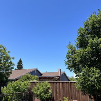 Vema Tree Service - After. All gone. Yeah!!!! - Tree Services Near Me Vema Tree Service - After. All gone. Yeah!!!! - Tree Services Near Me