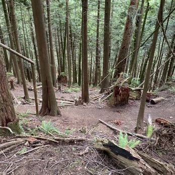 Heybrook County Park Trailhead - Great trail! - Hiking Near Me - Index, Washington
