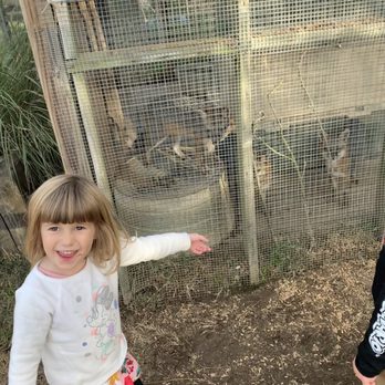 Why Not An American Ark - Attraction Farms Near Me - Monroe, North Carolina