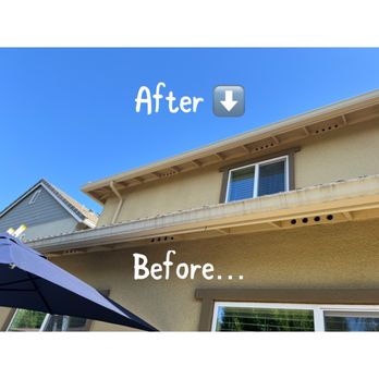 Clearview Exterior Solutions - Algae removal on gutters - Outdoor Power Equipment Services Near Me Clearview Exterior Solutions - Algae removal on gutters - Outdoor Power Equipment Services Near Me