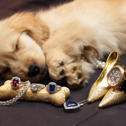 user provided Kirles Jewelers photo