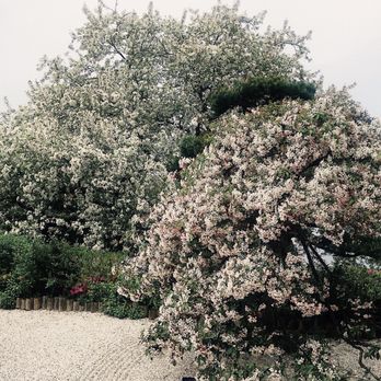 Chicago Botanic Garden - Botanical Gardens Near Me - Glencoe, Illinois