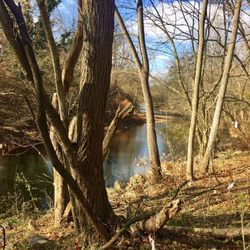 Herring Run Park - Herring Run Baltimore