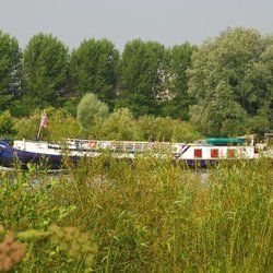Intersail - Hidden behind the bushes