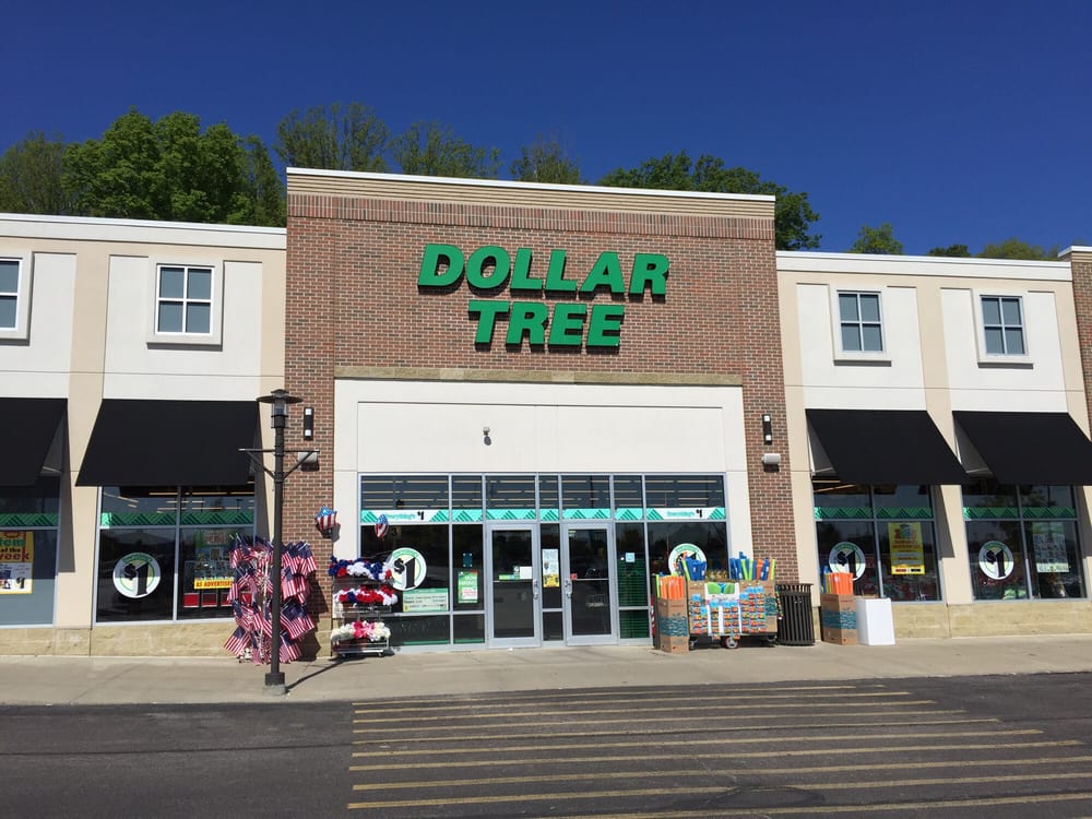 DOLLAR TREE Updated September 2024 3975 Cascades Blvd, Kent, Ohio