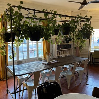 Grounded - Love all the plants - Pizza Near Me - Las Cruces, New Mexico