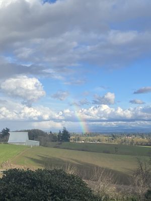 Cristom Vineyards by null