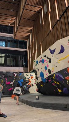 VITAL Climbing Gym - Lower East Side by null