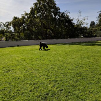 Springville Park - Dog Parks Near Me - Camarillo, California Springville Park - Dog Parks Near Me - Camarillo, California