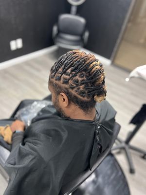 THE LOCTICIAN SALON - Updated January 2026 - 25 Photos - 1222 Monaco Ct